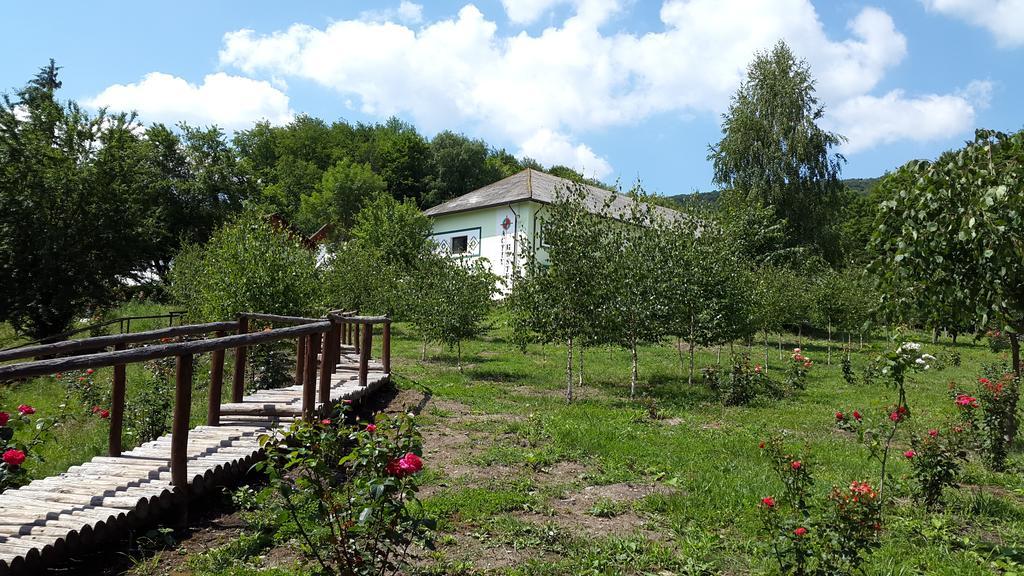 Hotel Activ Parc Negresti Exterior foto